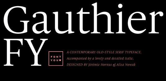 Gauthier FY ist eine zeitgenössische Serife im alten Stil, die für eine raffinierte Logo-Schrift sorgt