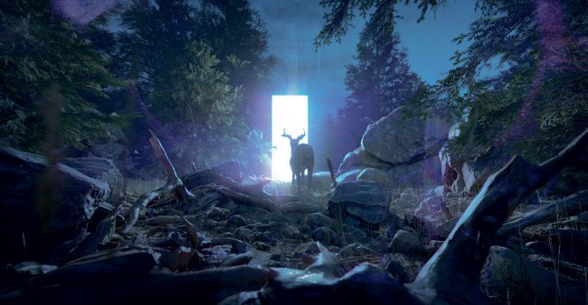 Szarvasbika áll a sötét erdőben, egy világos ajtó mögött megvilágítva