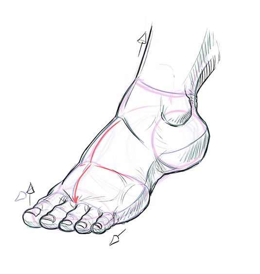 Wie man Füße zeichnet