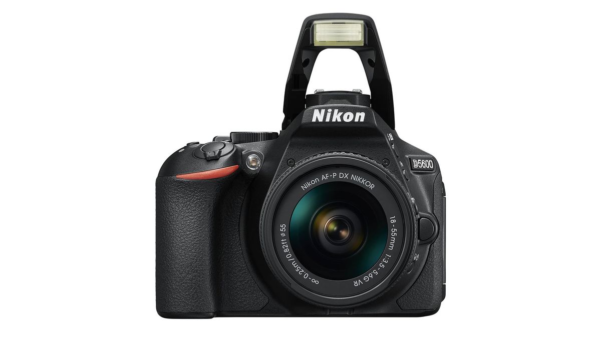 Las mejores cámaras para la vida salvaje: Nikon D5600