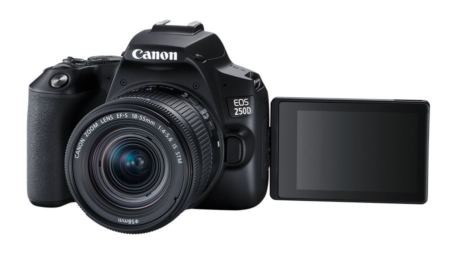 най-добрата камера за начинаещи: Canon EOS 250D