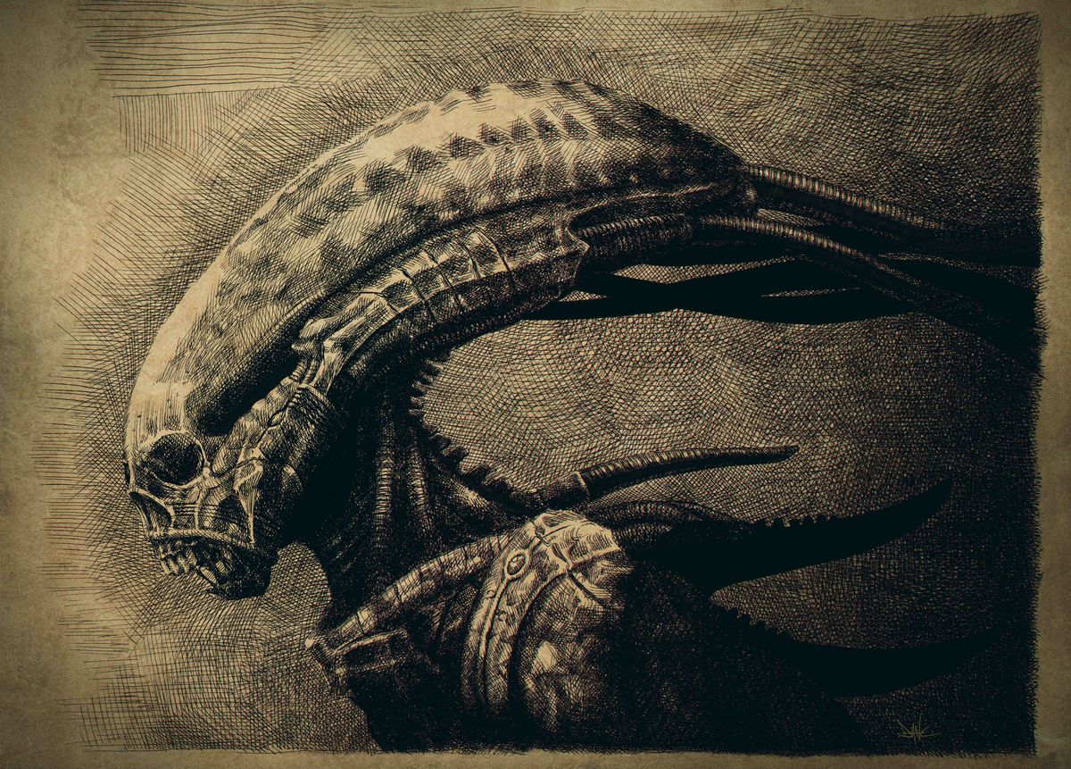 Eine von Dane Hallets Kohlezeichnungen für Alien: Covenant