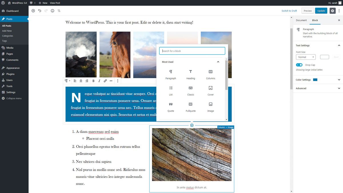 Wordpress-Screenshot