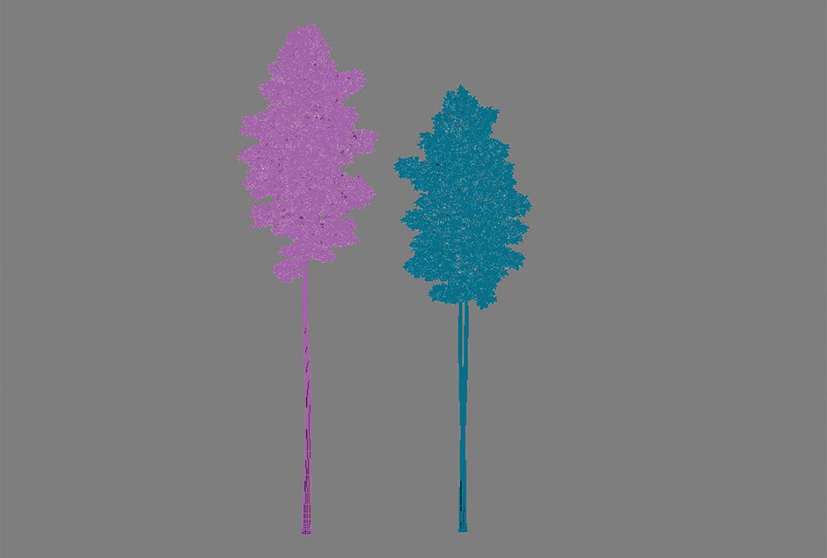 Zwei Baumformen auf einem grauen Hintergrund