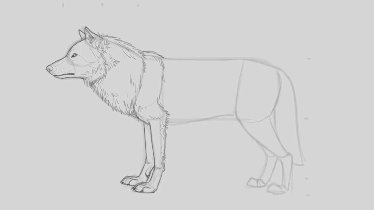 Skizze eines Wolfes mit einer zotteligen Mähne