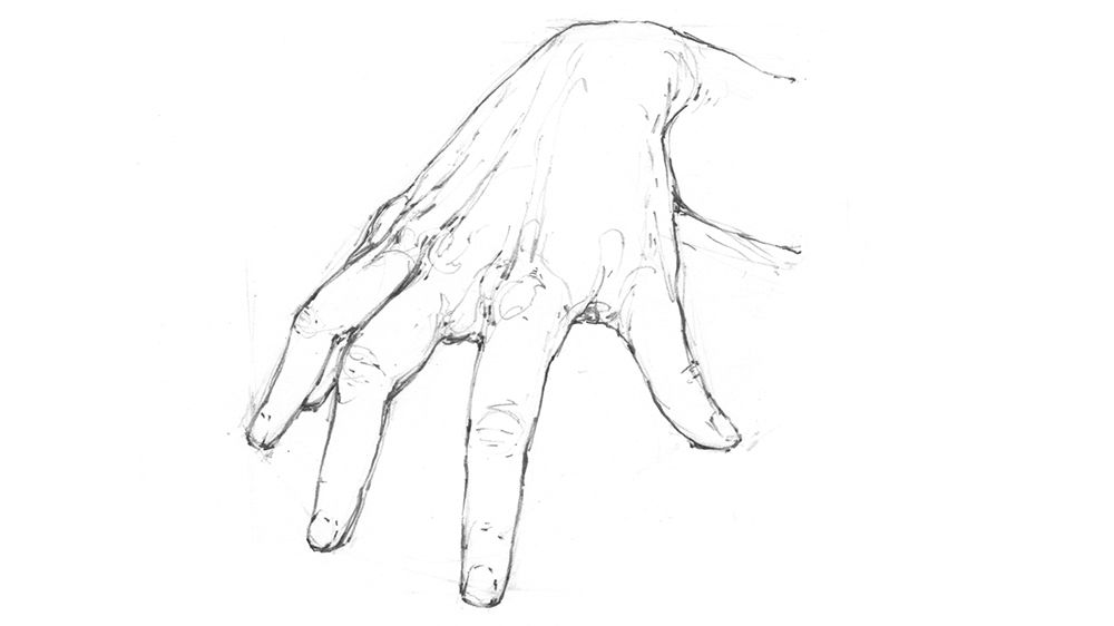 Verfeinerte Zeichnung einer Hand, mit Details hinzugefügt