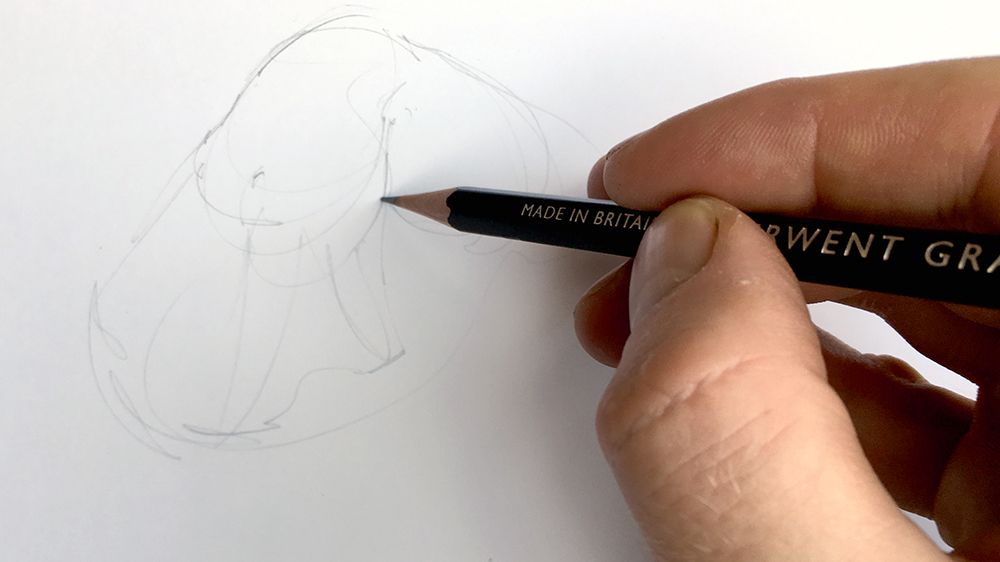 Hand hält Bleistift, der einer Skizze Grenzen hinzufügt
