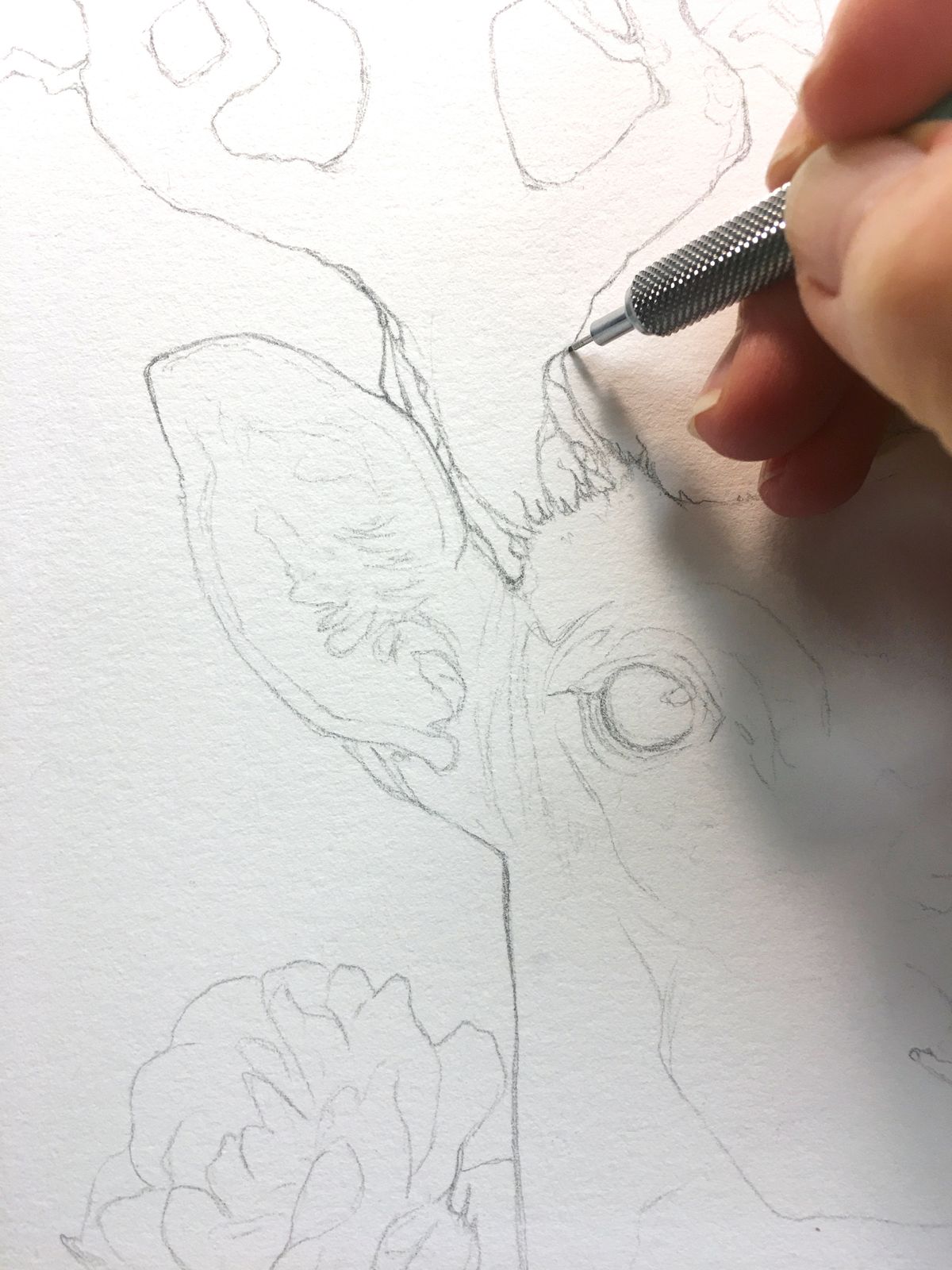 Детайл от рисунка с молив на елен