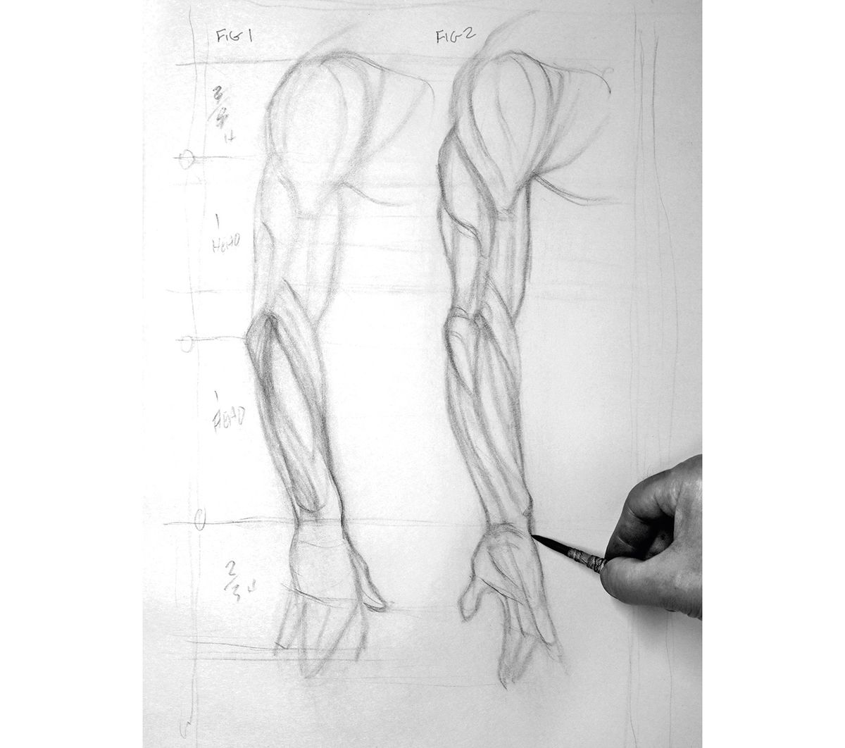 Comment dessiner un bras: rester affûté