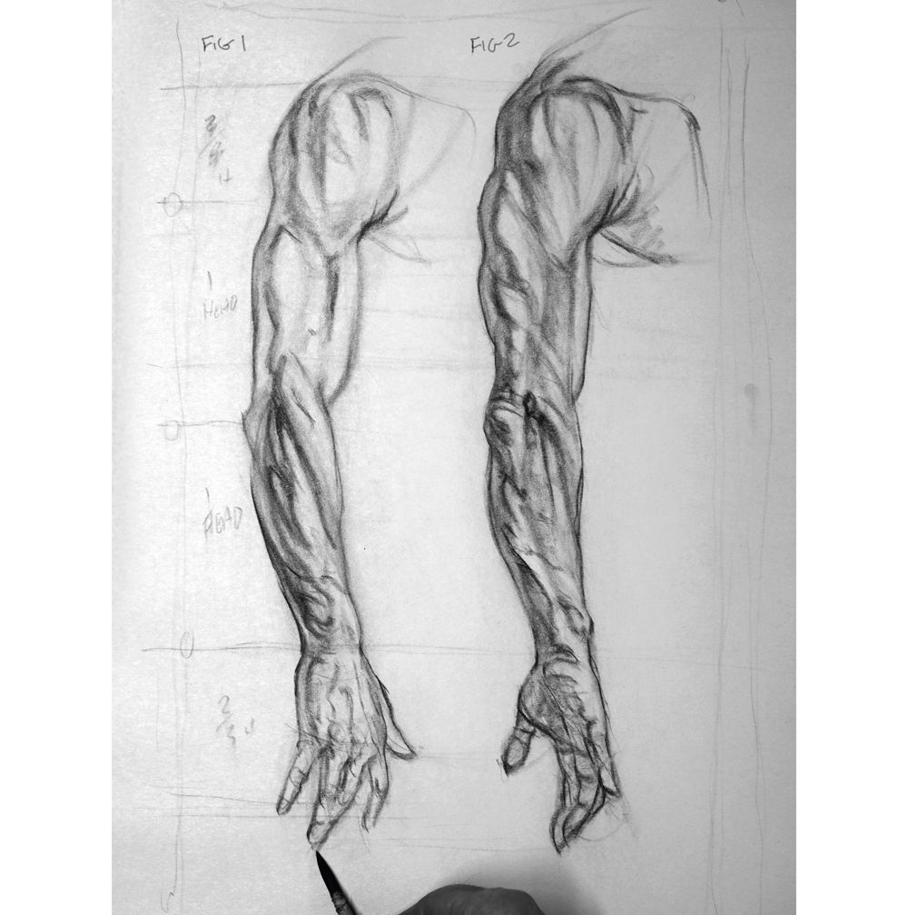 Comment dessiner un bras: études d