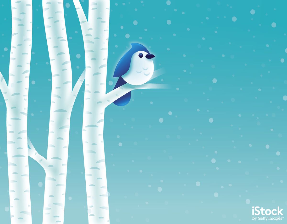 Nyírfa téli madár filo. Ez egy vektoros illusztráció, így bármilyen méretben használható minőségromlás nélkül