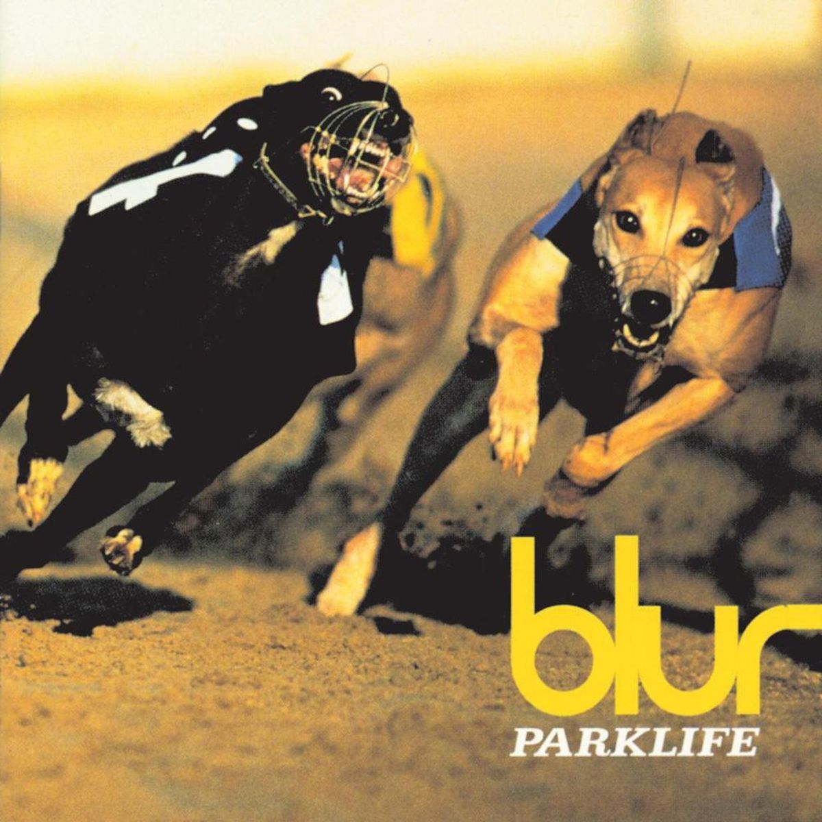 Parklife-cover med vinhunde