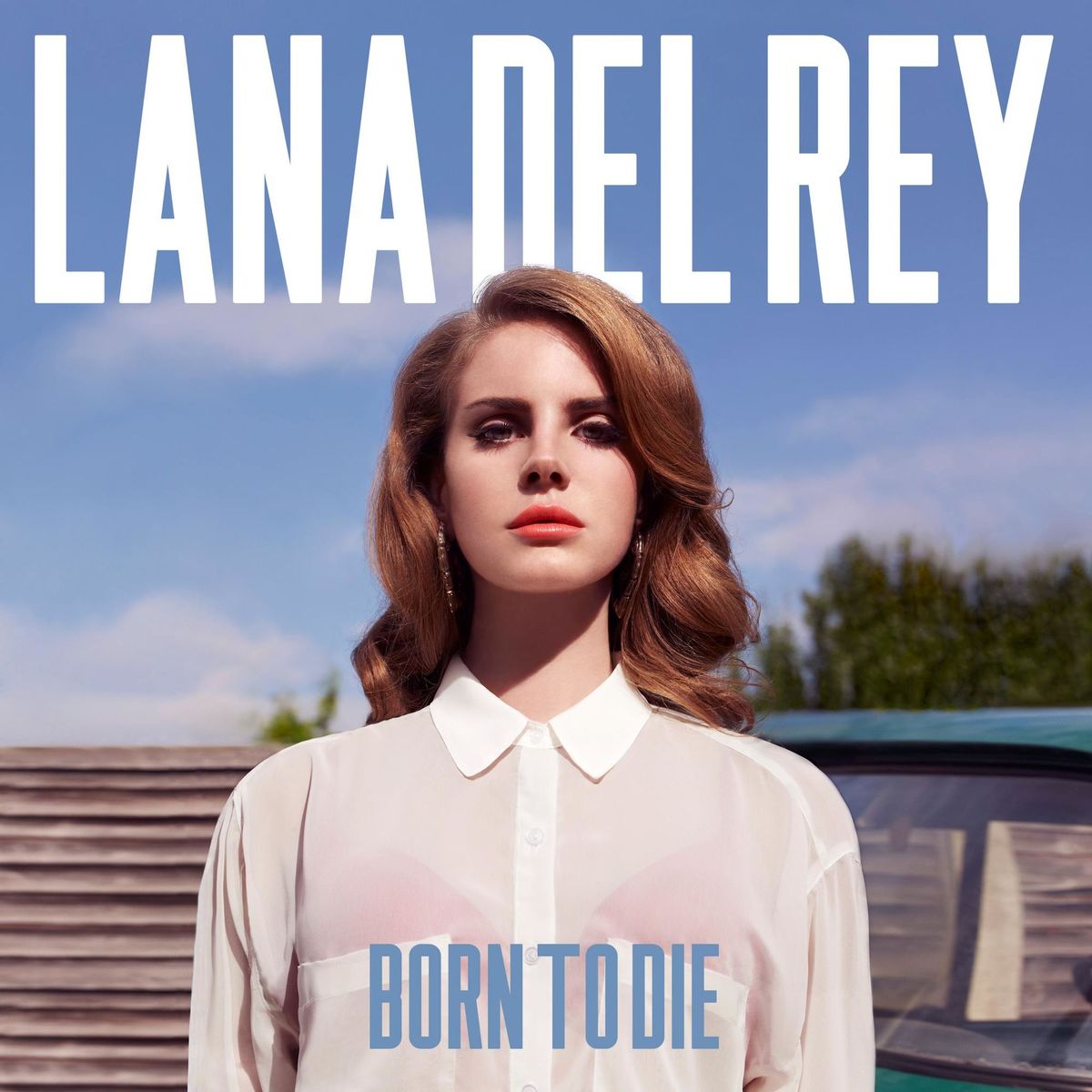 Born to Die cover viser Lana del Rey stående foran et hegn