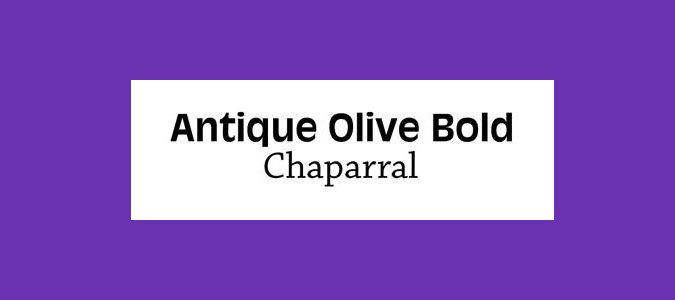 Schriftpaarungen: Antique Olive Bold und Chaparral