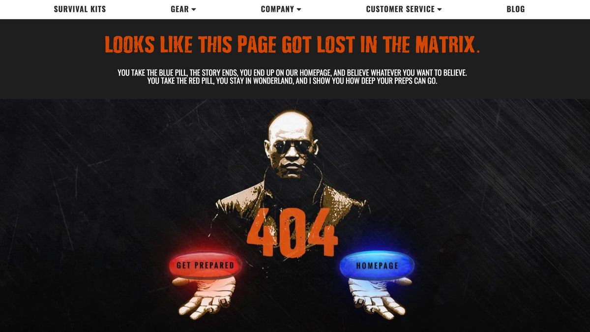 404 pages: prêt pour la survie