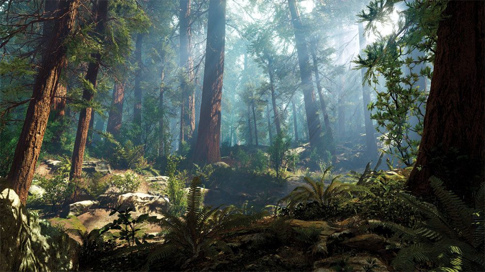 Arte 3D: una escena de bosque en 3D
