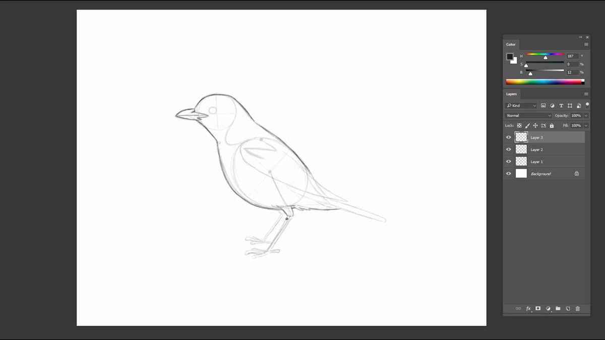 Grundlegende Bleistiftskizze eines Vogels