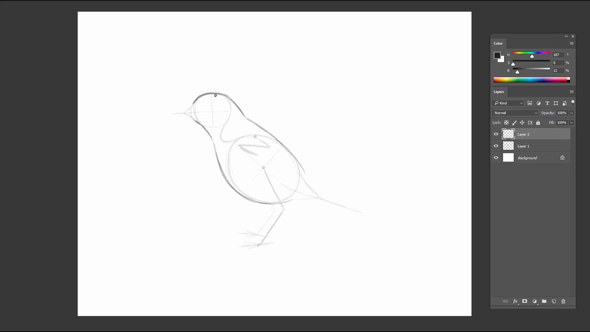 Grobe Bleistiftskizze eines Vogels
