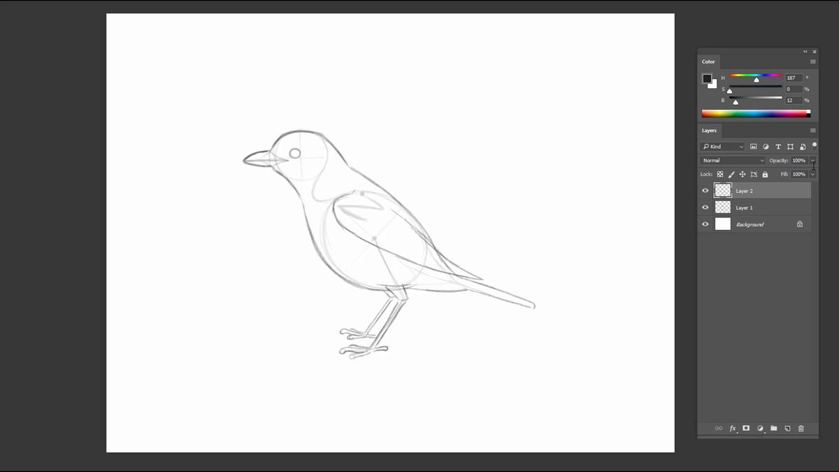 Grobe Bleistiftskizze eines Vogels