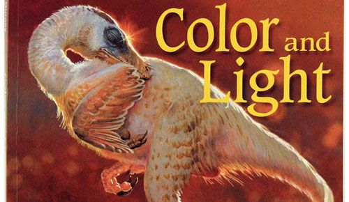 Libros de Illustrator: color y luz
