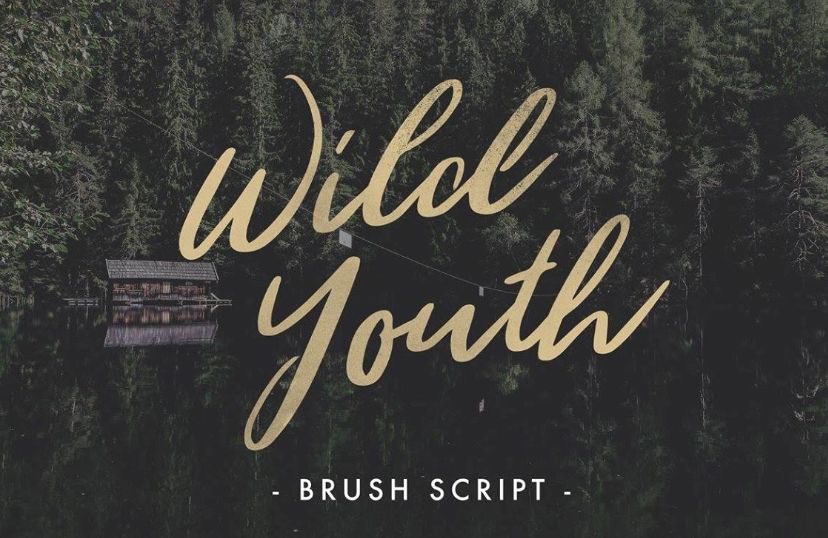 Las mejores fuentes de escritura a mano gratuitas: Wild Youth