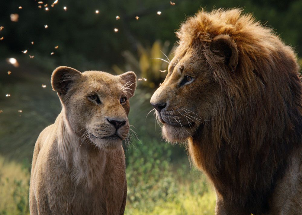 Apprenez les secrets d'effets visuels derrière le film épique Lion King CGI.