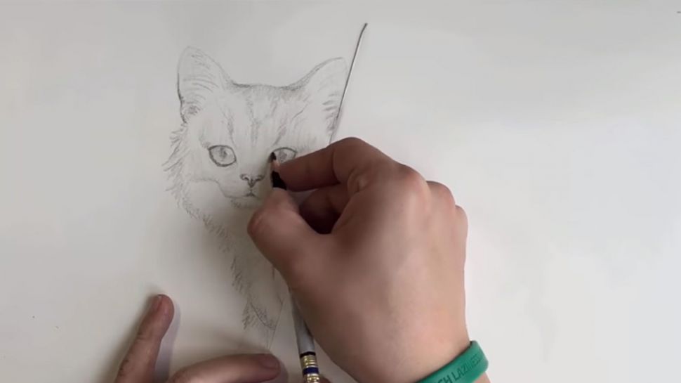 Técnicas de arte: persona dibujando un gato