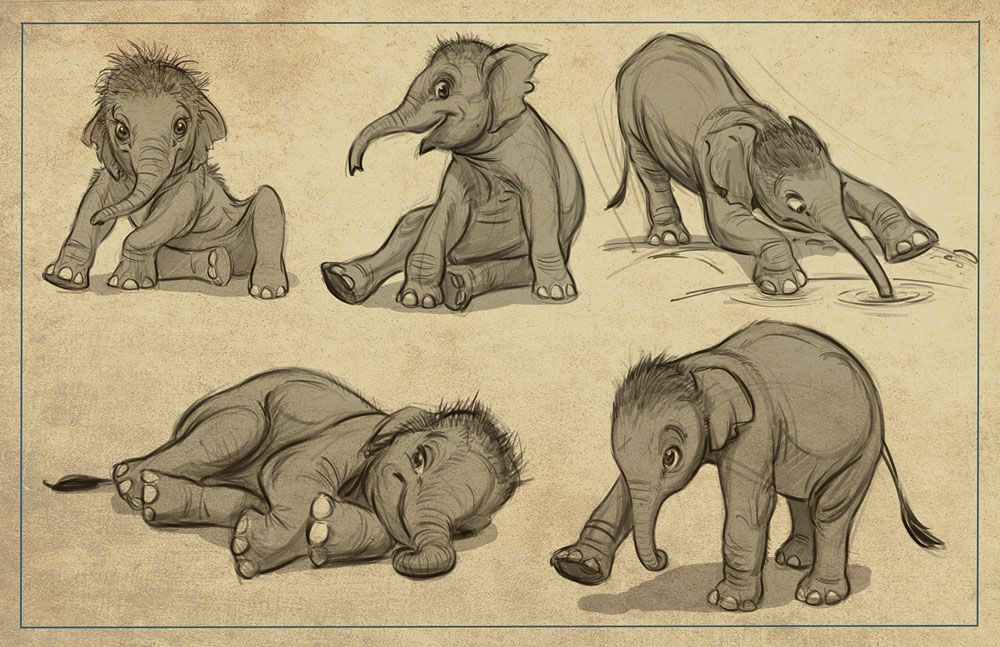 Cómo dibujar animales: 14