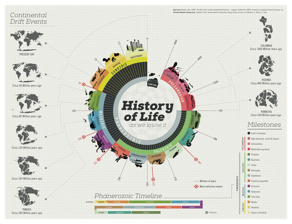 Las mejores infografías: Historia de la vida