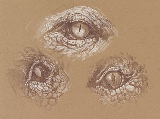 Wie zeichnet man einen Drachen - Augen