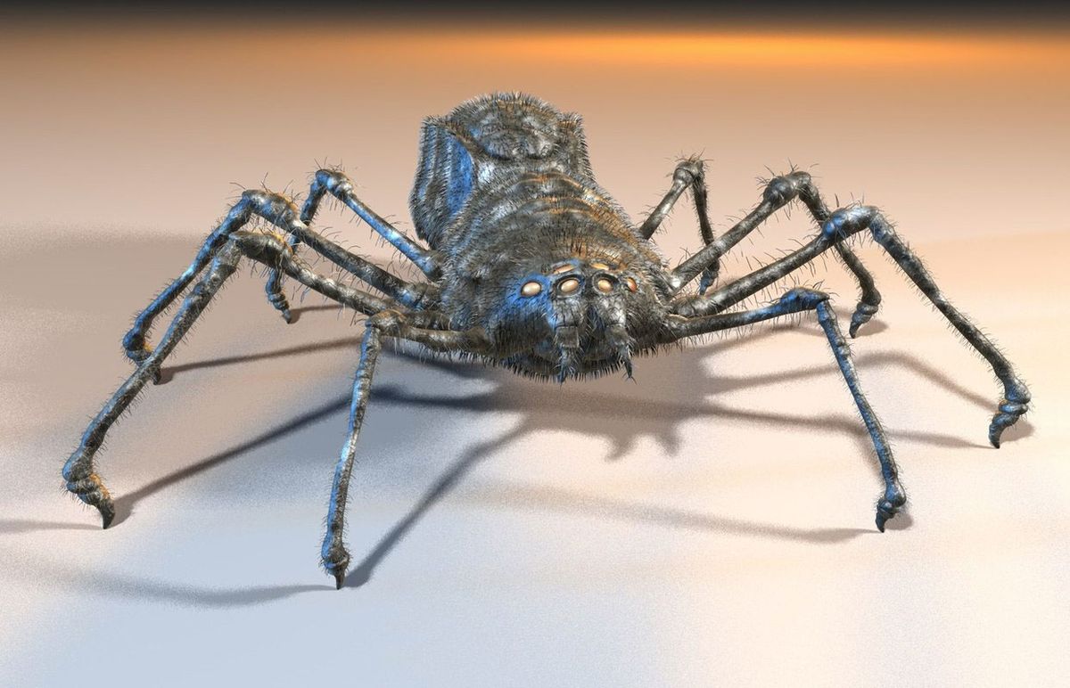 Kostenlose 3D-Modelle: Spinne