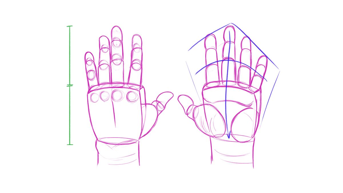 Cómo dibujar manos: constrúyelo en 3D y luego observa