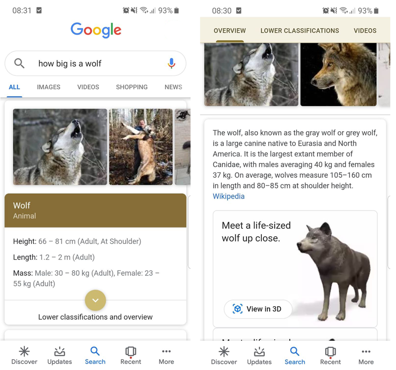 Google AR animaux