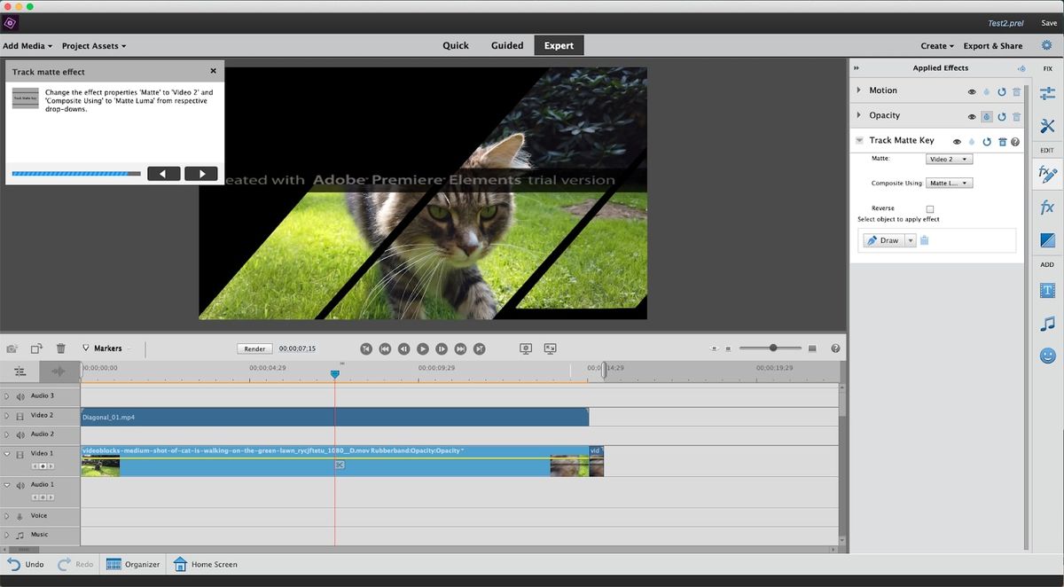 Adobe Premiere Elements-Überprüfung