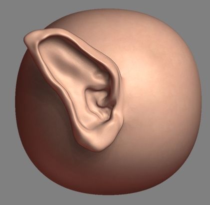 ZBrush-Tutorials: Modellieren von Ohren