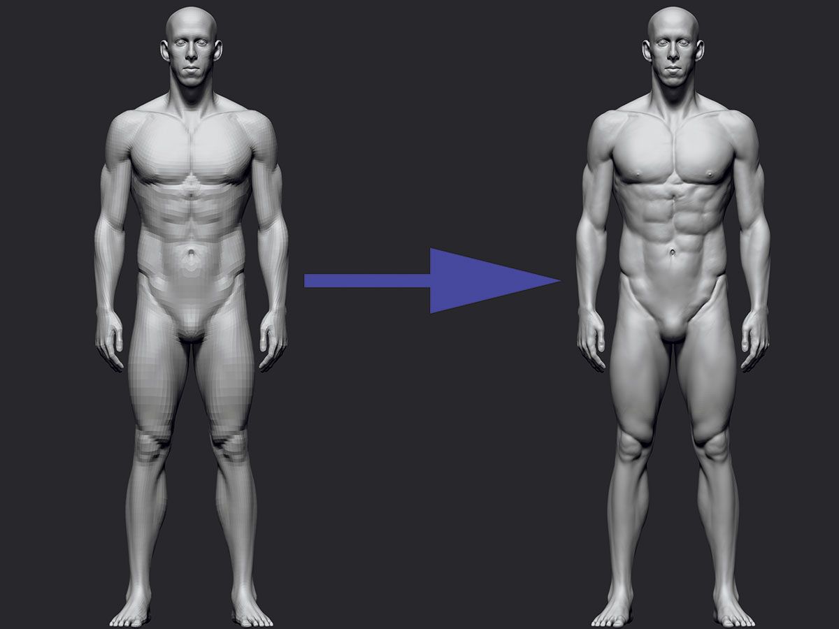 ZBrush-Tutorials: Realistische Anatomie formen