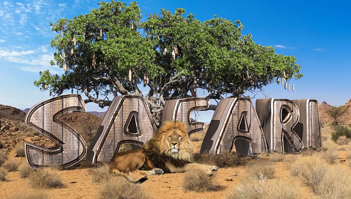 image avec safari écrit dessus plus un lion
