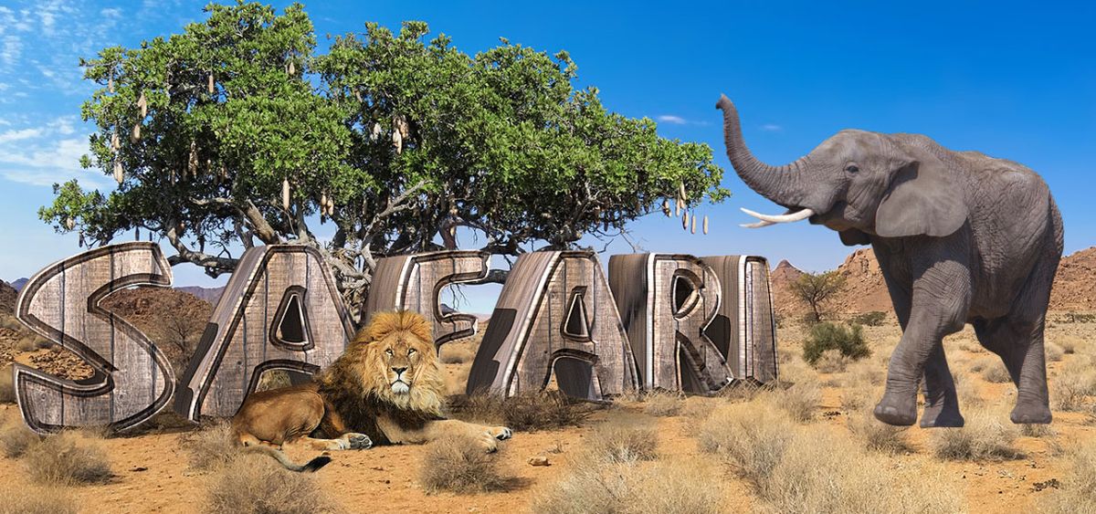 image avec safari écrit dessus, lion et éléphant