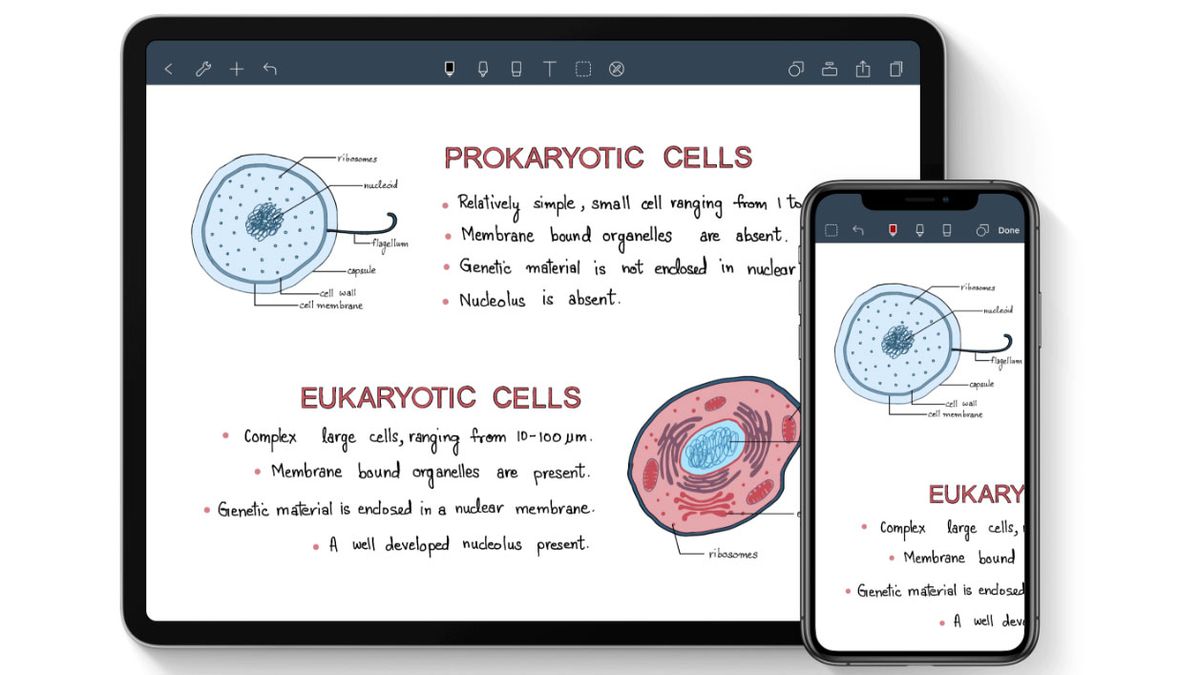 Las mejores aplicaciones de iPad para diseñadores: Noteshelf