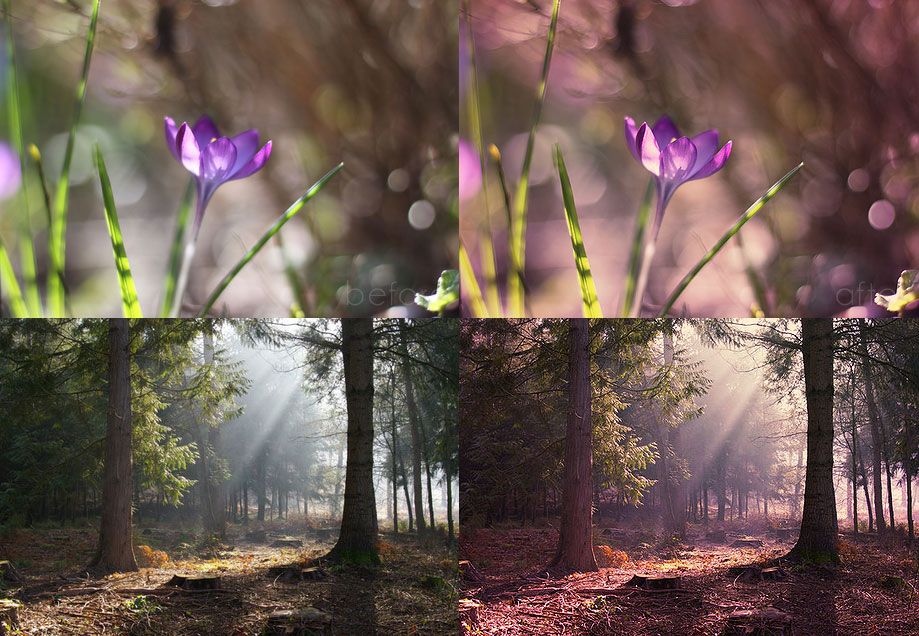 Acciones gratuitas de Photoshop: Mystical Light